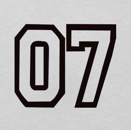 Z000010-w48h39.73	Crystal Suspension Bridge Iron-On | Architectural Marvel in Miniature