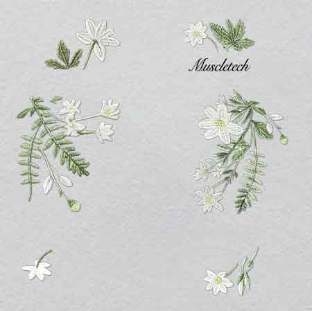 Z000327-w32.3h33	Crystal Spy's Silhouette in Doorway | Mystery & Intrigue Scene