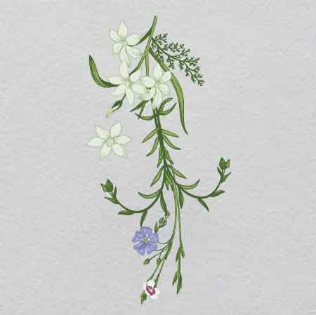 Z000302-w16.66h33	"Neon Dandelion Clock" Patch | Glowing Wishes Blowing Away