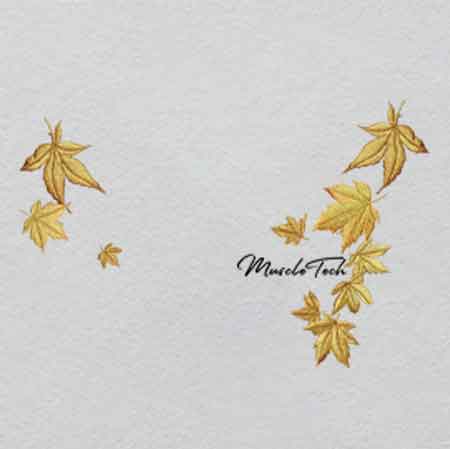 Z000314-w33h21.6	 Crystal Label | Glowing Secret Messages