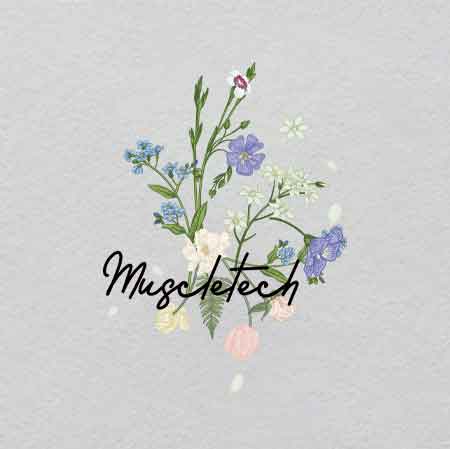 Z000303-w24.3h33	Crystal Blueprint of a Butterfly | Engineering of Natural Beauty