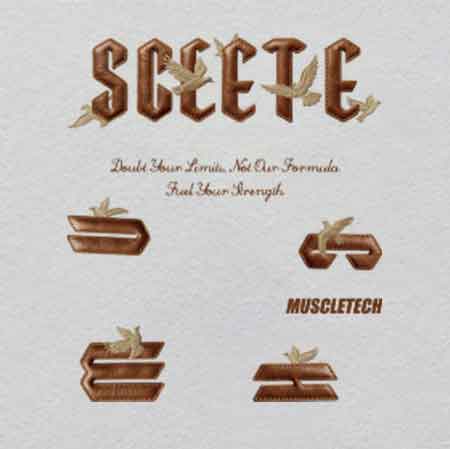 Z000340-W28.25H33	"Deconstructed Vintage Camera" Crystal Iron-On | Lens & Gears