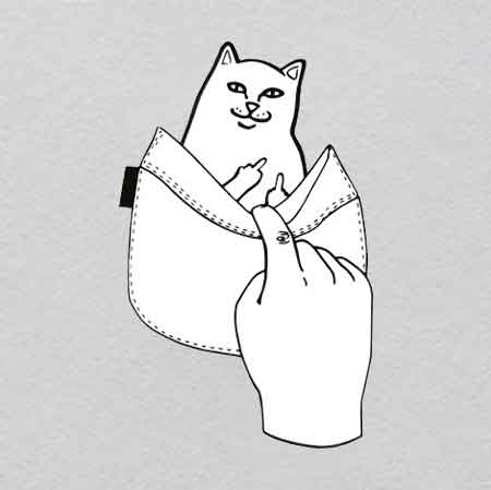 Middle finger cat W21H33	Crystal Retro Raygun Iron-On | Pulpy Sci-Fi Adventure Prop