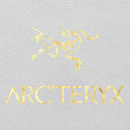 arcteryx-w3.5h2.3	Glowing Plankton Bloom UV Patch | Ocean Surface Milky Sea