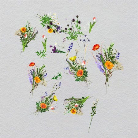 LV_PATTERN44w3.17h3.5	UV Zodiacal Light Patch | Glowing Cosmic Dust in Solar System