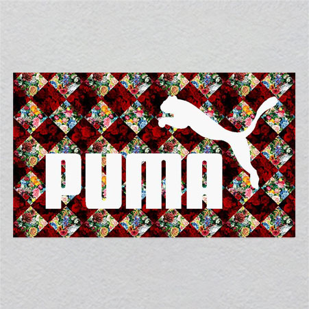 puma7W25H14	Singular Crystal Ember | Glowing Last Light of Data