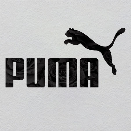 puma19W25H12	Singular Crystal Ember | Glowing Last Light of Data
